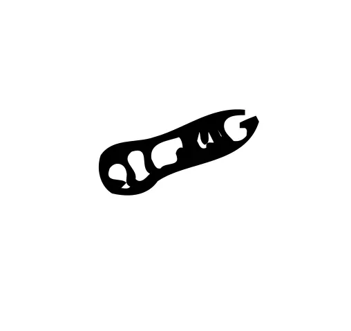 Screw